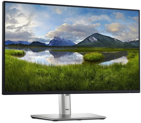 Écran Dell P2425H sur son pied
